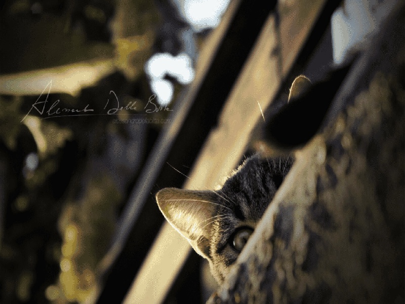 天津血型试管婴儿（静脉曲张手术治疗费用）